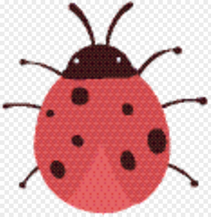 Darkling Beetles Jewel Bugs Arizona Broadway Theatre Insect PNG