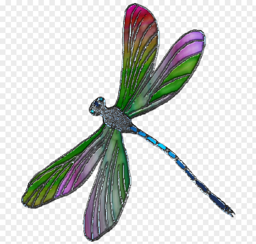 Dragonfly Butterfly Insect 2M Wing PNG