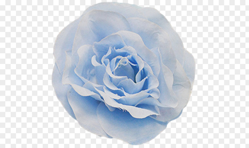 Fl[ating Rose Centifolia Roses Blue Garden Floribunda Petal PNG
