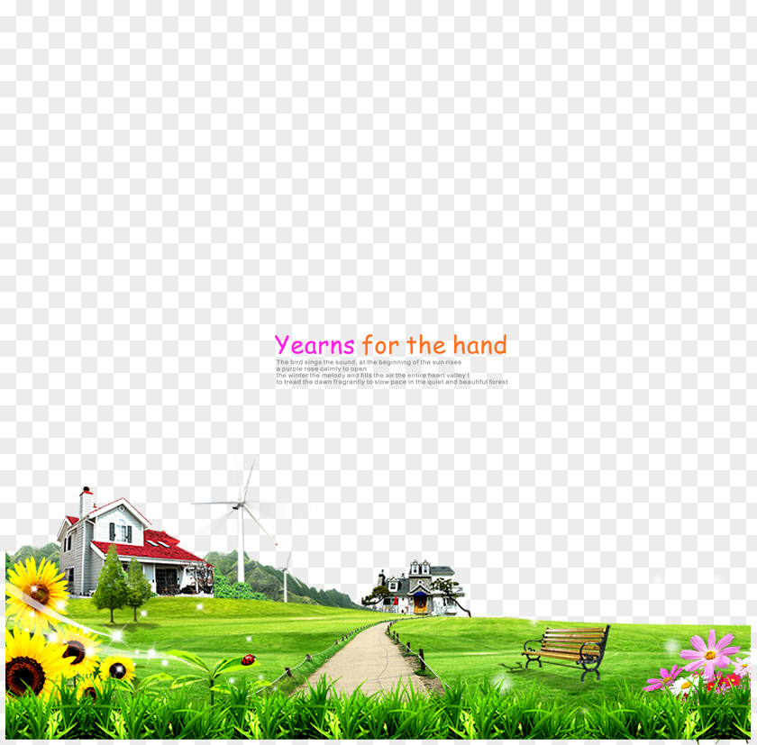 Green Grass Download Web Template PNG