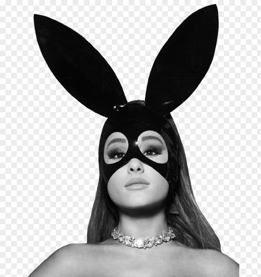 My Everything Ariana Grande Dangerous Woman Tour The Honeymoon Image Photography PNG