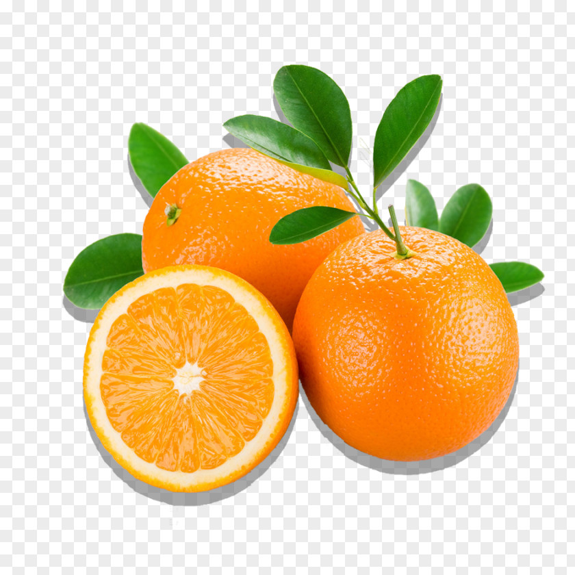 Orange Juice Anti-aging Cream Wrinkle Periorbital Dark Circles PNG