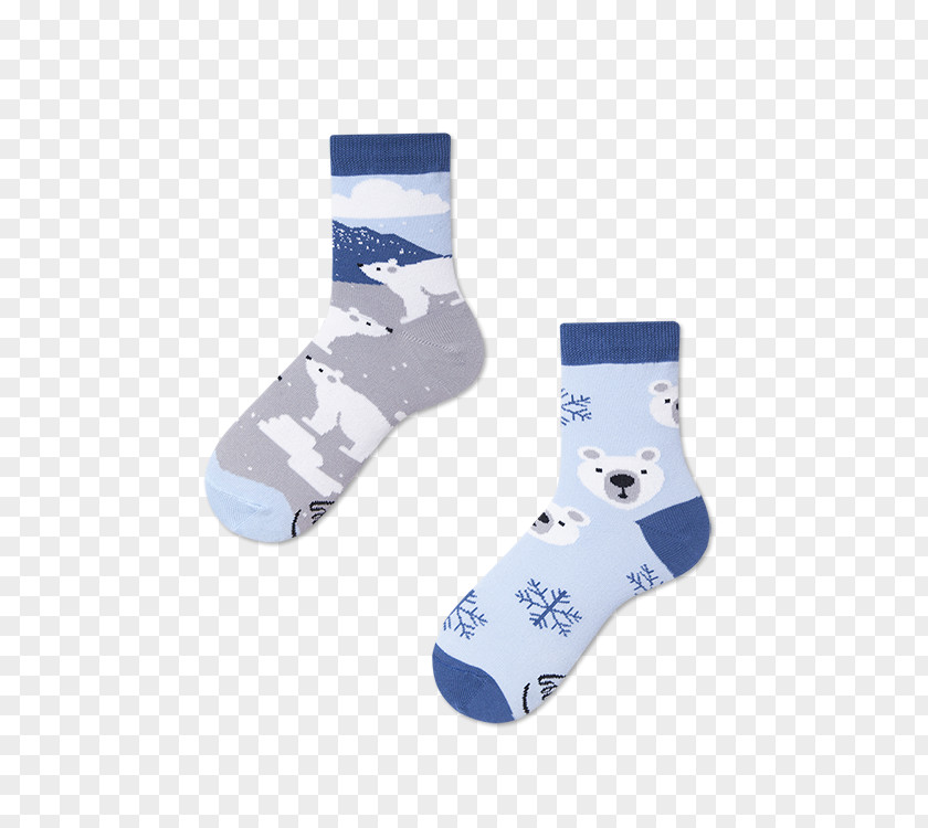 Polar Bears International Bear Sock Kermode Online Shopping PNG
