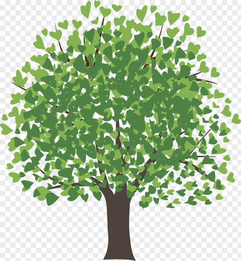 Spring Tree Mangifera Indica Mango Drawing Clip Art PNG