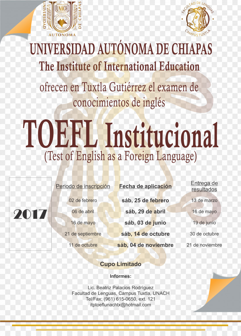 Toefl Test Of English As A Foreign Language (TOEFL) Diplôme D'études En Langue Française TOEFL Junior Goethe-Institut PNG