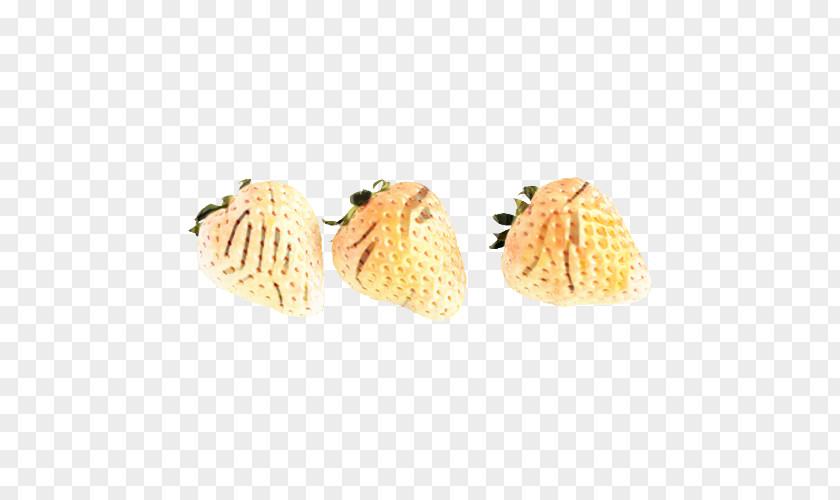 Clam Bivalve Cockle Earrings PNG