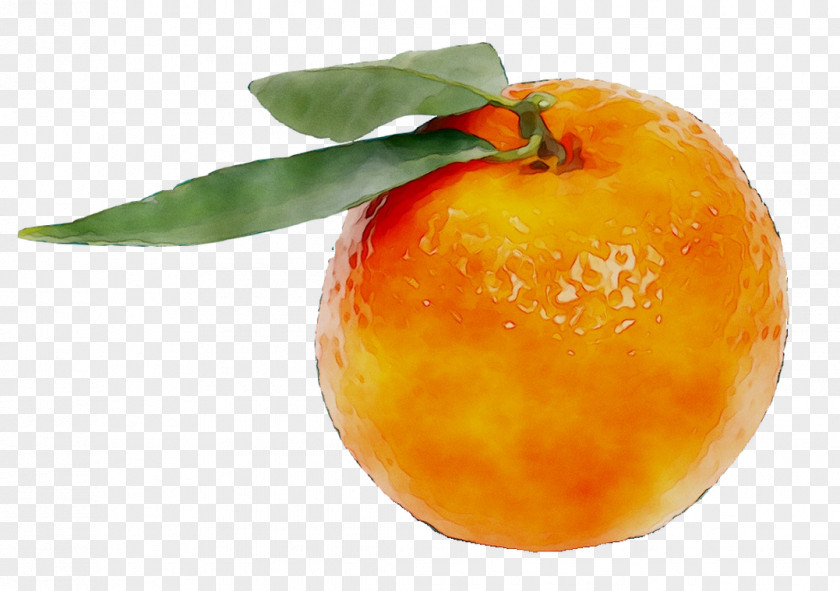 Diet Food Tangerine Mandarin Orange PNG