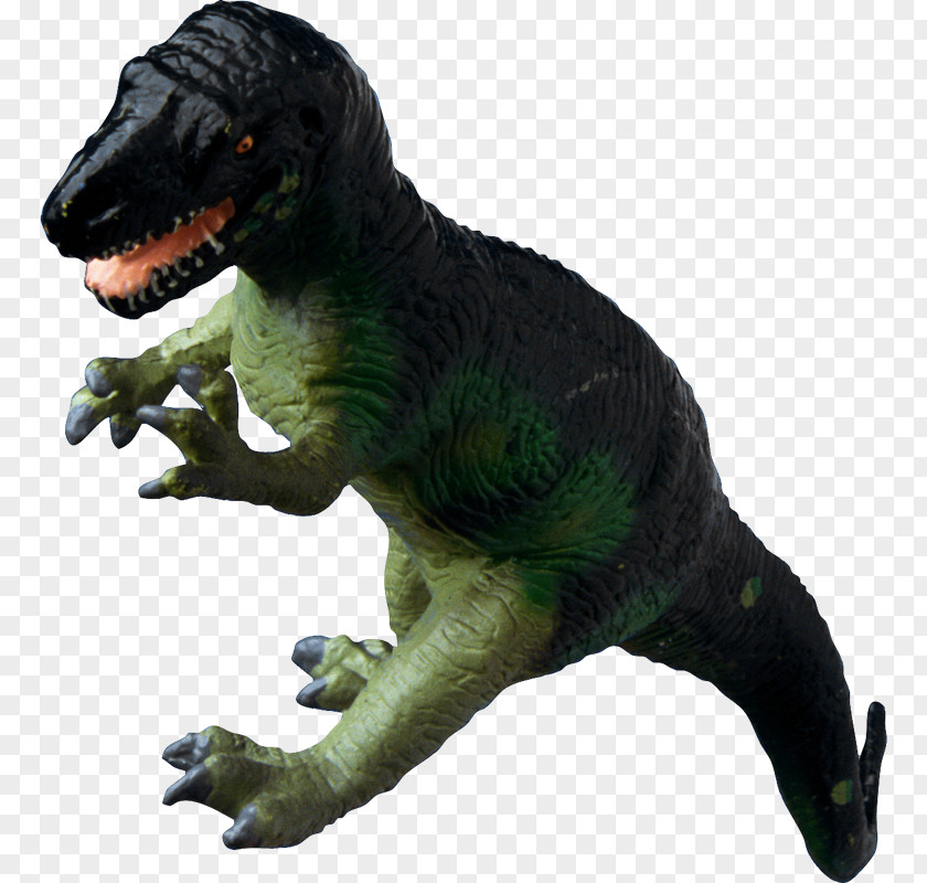 Dinosaurs Tyrannosaurus Dinosaur Velociraptor Clip Art PNG
