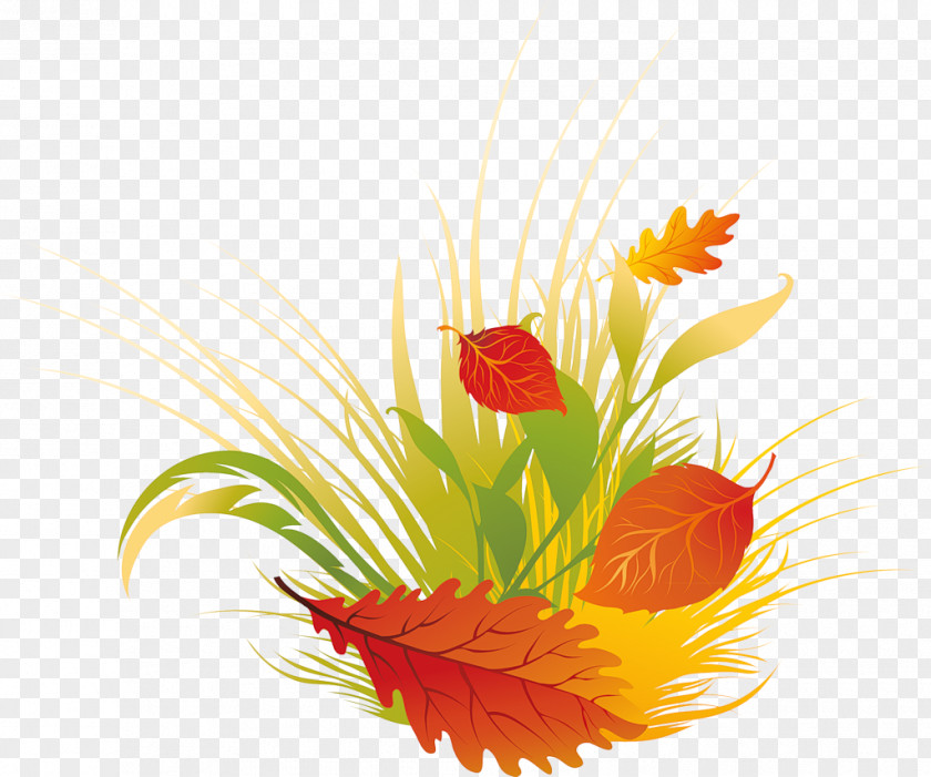 Flame Leaf Photography PNG