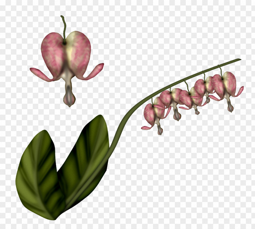 Gof Silhouette Flowering Plant Fruit Adobe Photoshop Stem PNG