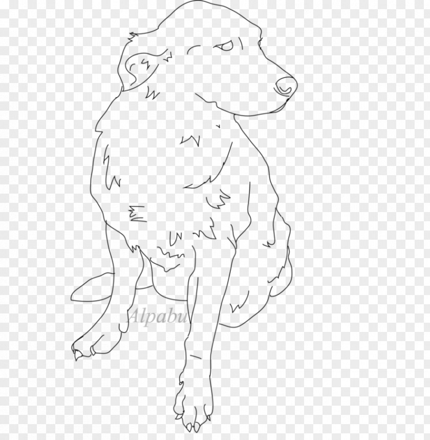 Golden Lines Dog Breed Line Art Sketch PNG
