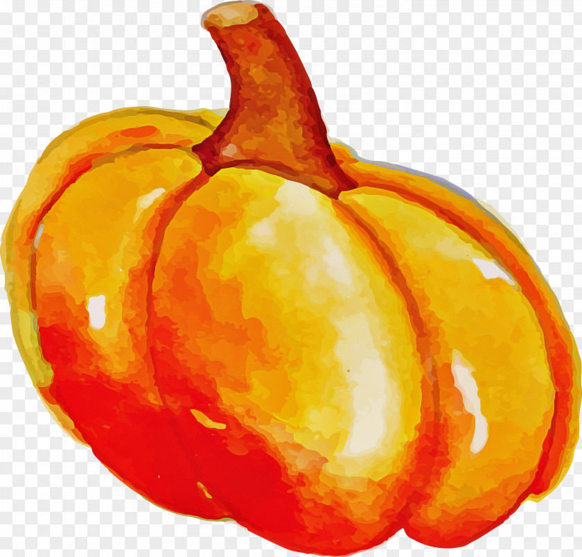 Happy Autumn Fall Harvest PNG