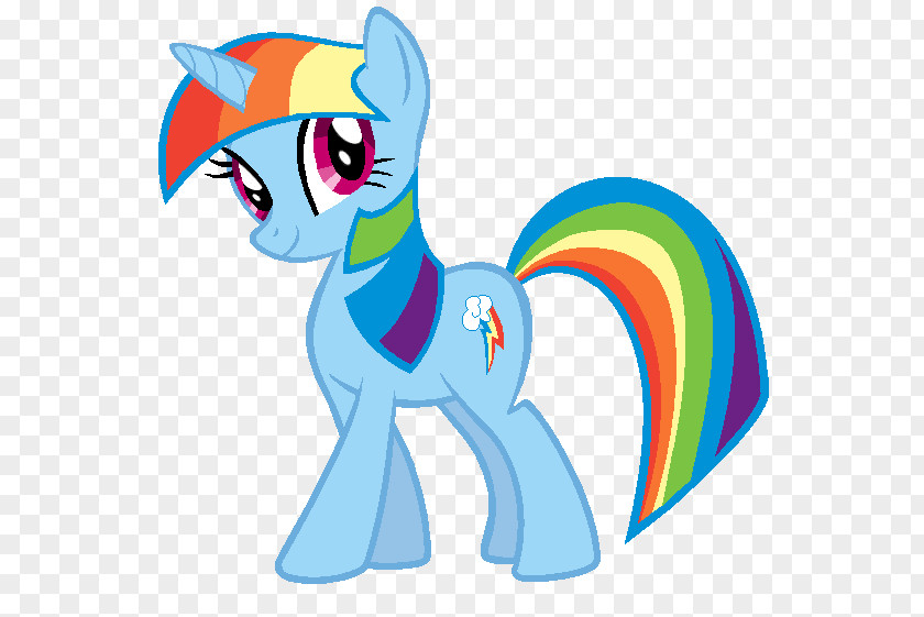 My Little Pony Twilight Sparkle Rainbow Dash Pinkie Pie Applejack PNG