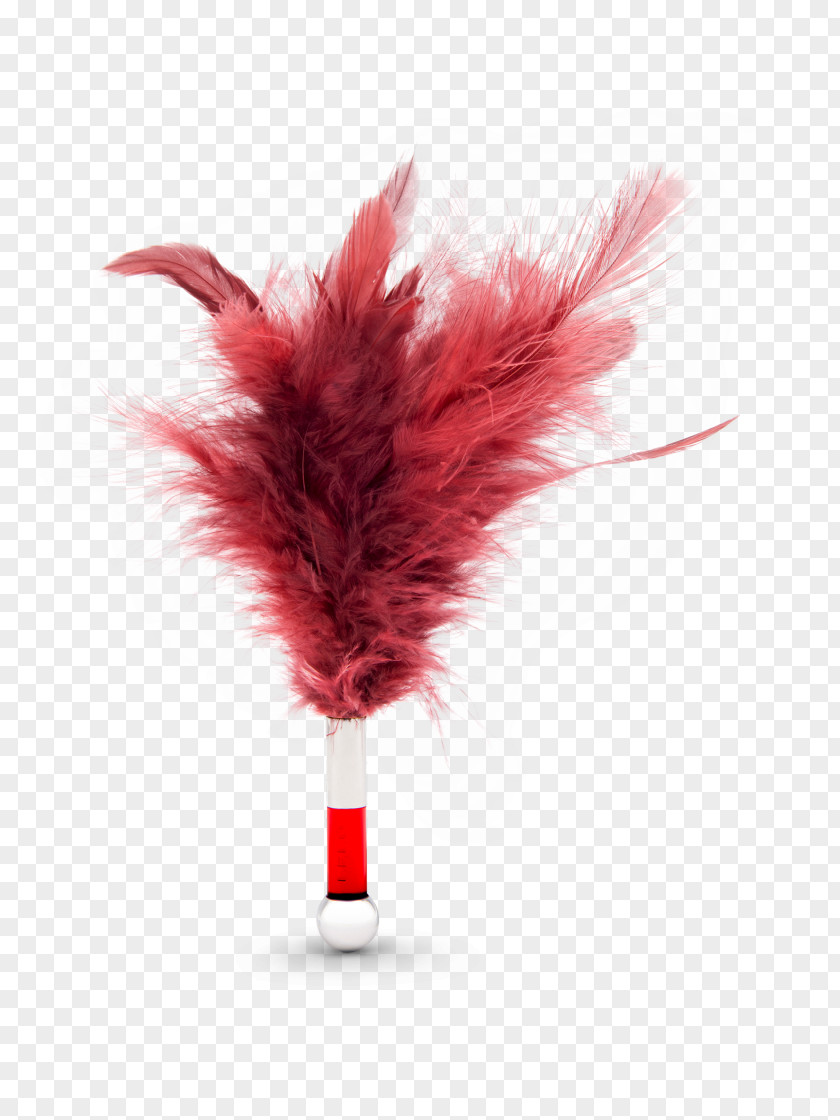 Tantra Feather RED.M PNG