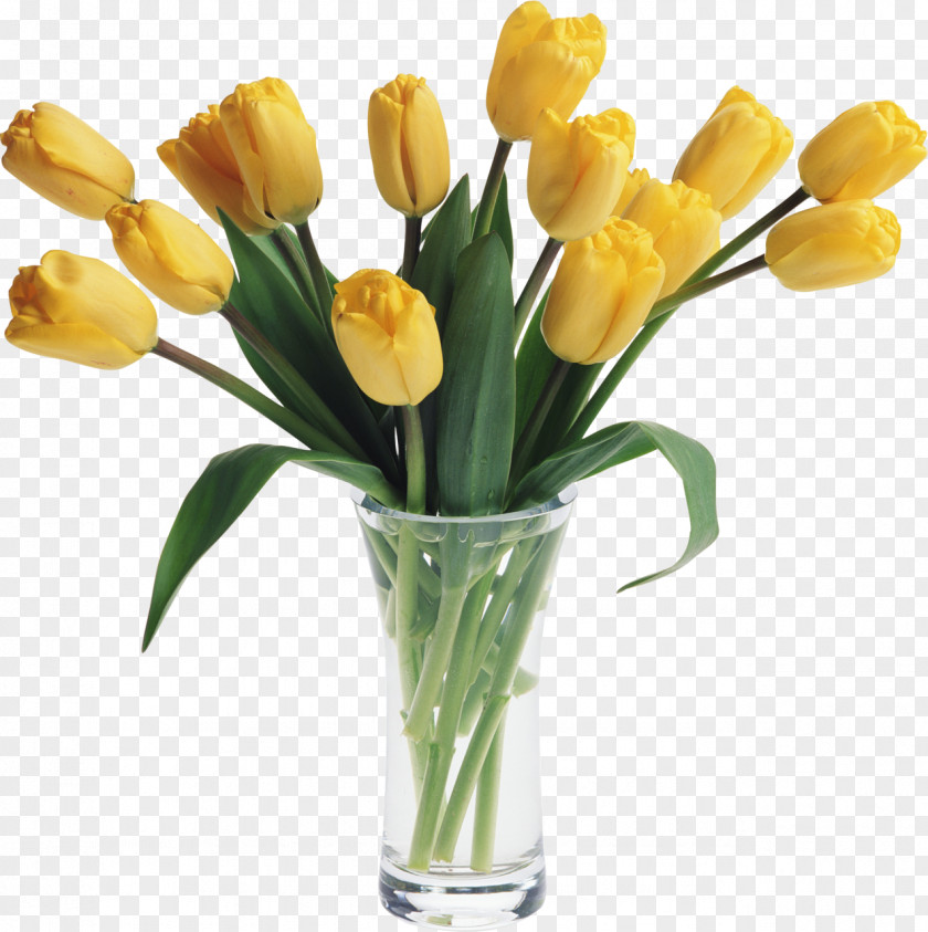 Vase Tulip Gfycat Facebook PNG