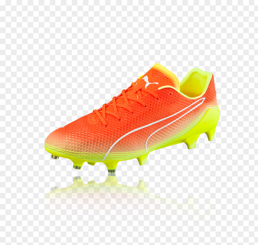 Boot Man Puma Football Shoes Evospeed Sl Fg Cleat PNG