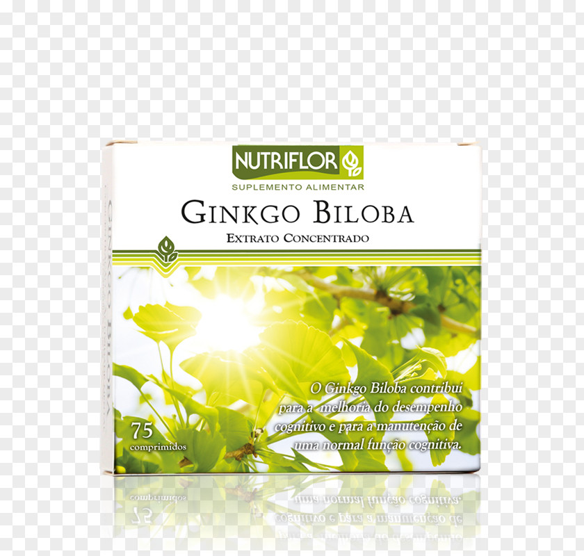 Ginkgo-biloba Health Food Shop Dietary Supplement Price PNG