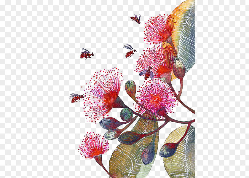 Hand-painted Flowers Bee Flower Paper Watercolor Painting Corymbia Ficifolia PNG
