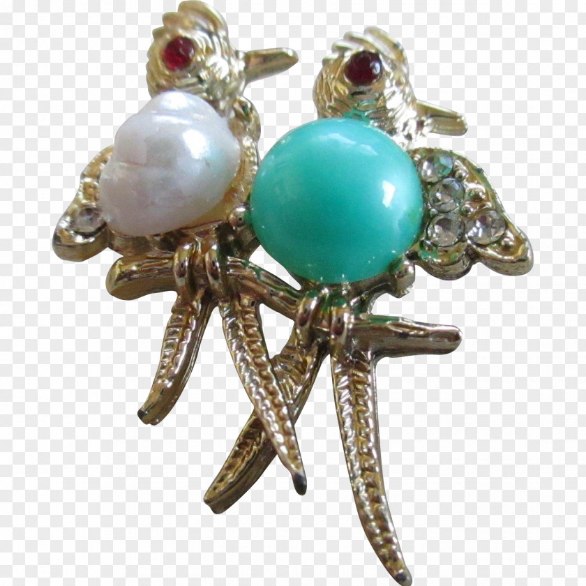 Jewellery Turquoise Earring Body Brooch PNG