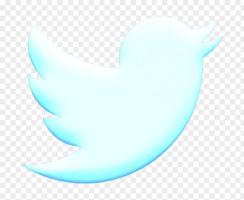 Logo Symbol Twitter Icon PNG