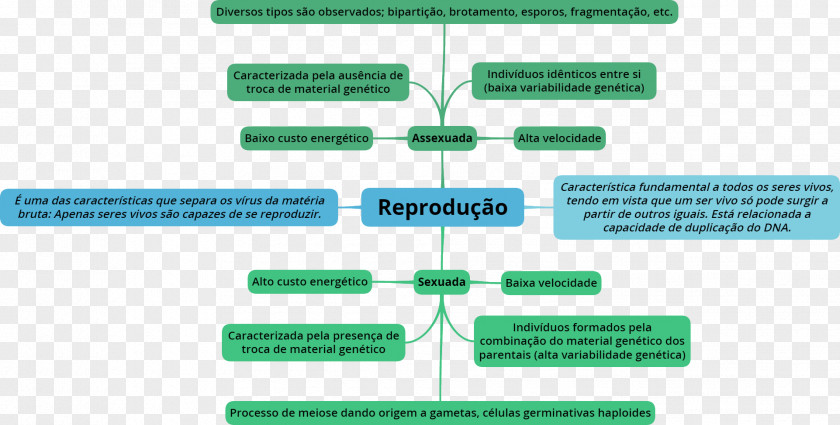 Map Asexual Reproduction Mind Organism PNG