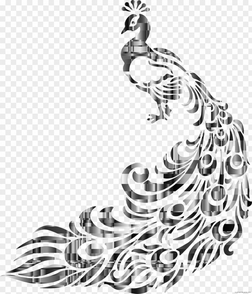 Bird Peafowl Clip Art Drawing PNG
