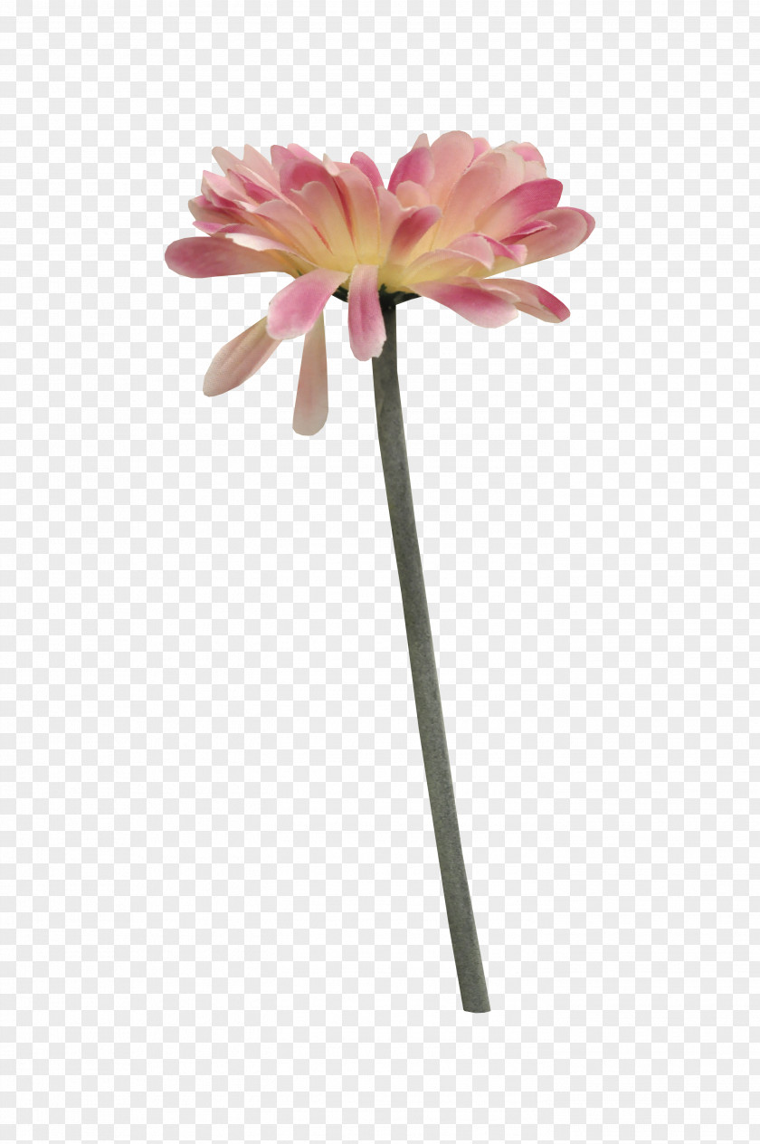 Bouquet Of Flowers Flower PNG