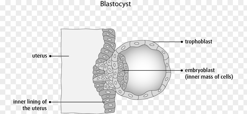 Cancer Cell Details Product Design Bone Jaw Pattern PNG