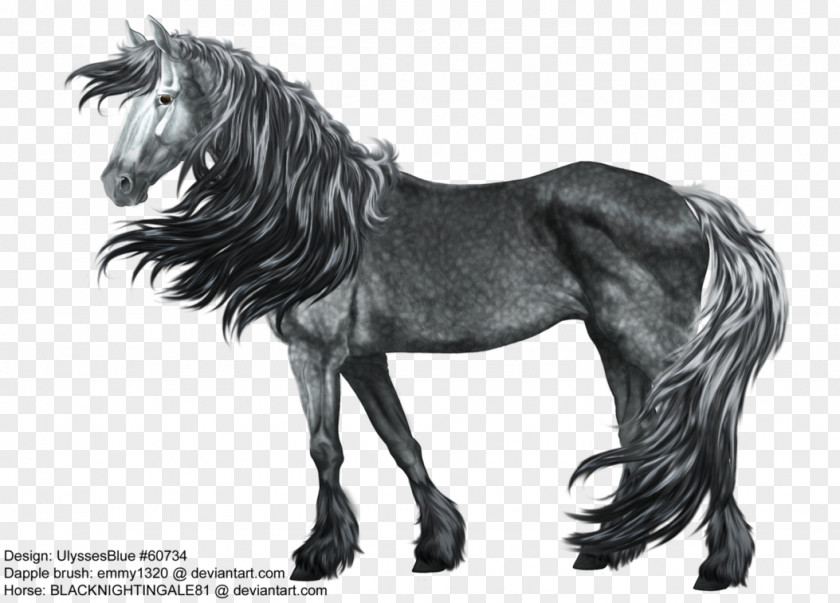 Dark Grey Mustang Stallion Thoroughbred Gray Andalusian Horse PNG