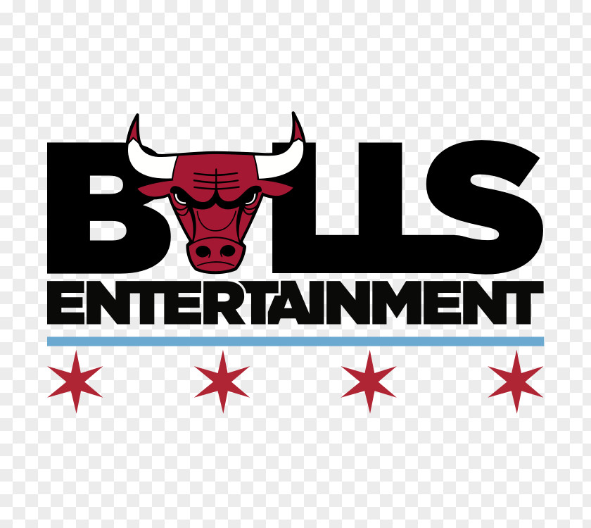 Design Chicago Bulls Logo Graphic NBA PNG