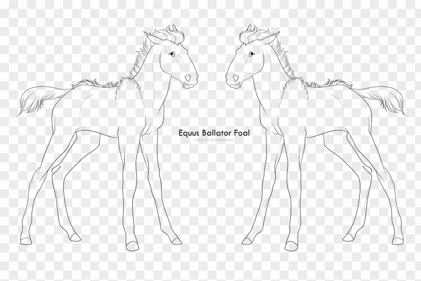 Equus Przewalskii Artist Foal Pony Mustang PNG