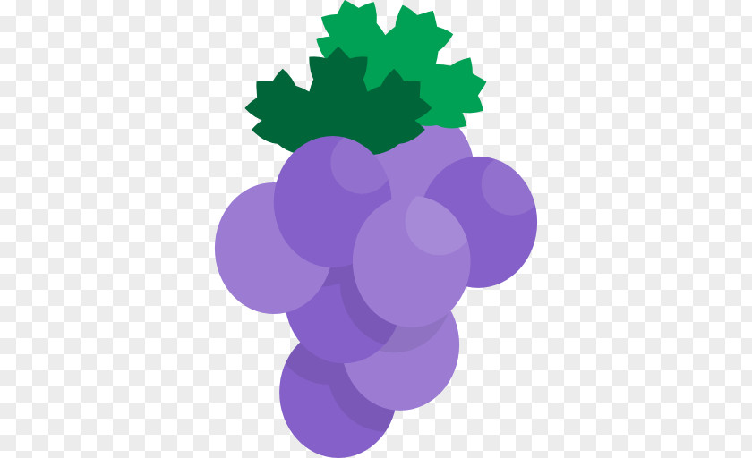 Grape Health Nutrition Wine Food PNG