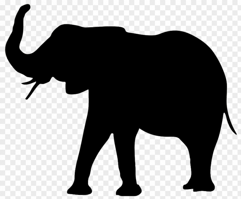 Line Art Stencil Elephant Background PNG