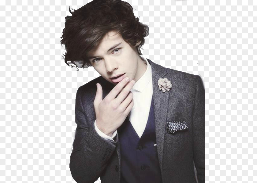 Styles Harry The X Factor February 1 One Direction PNG
