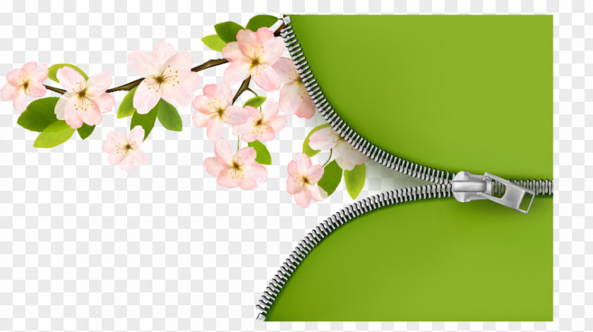 Branch Flower Clip Art PNG