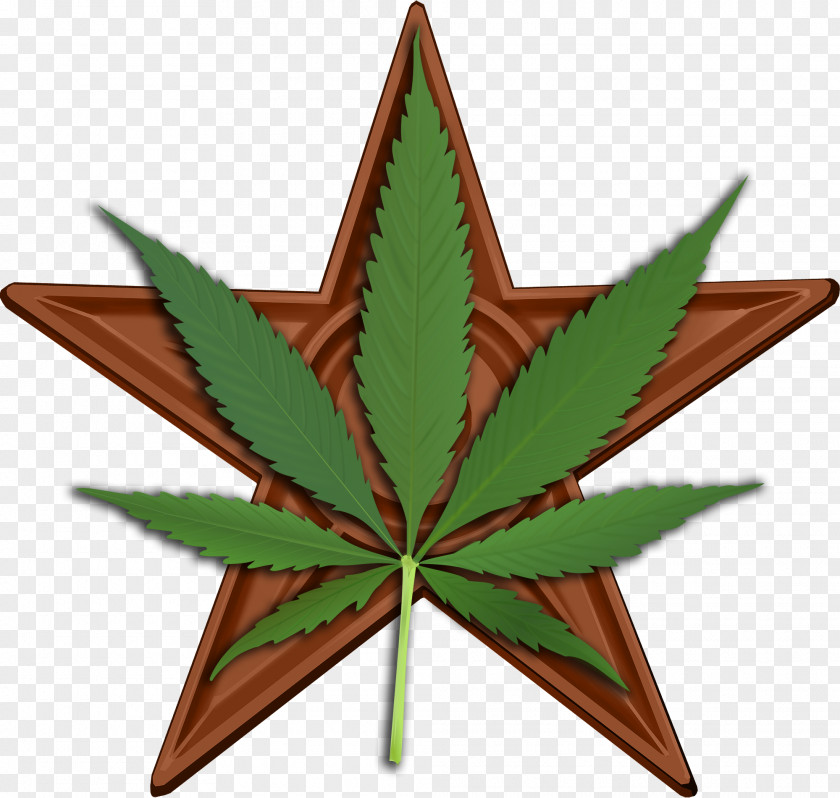 Cannabis Flag Of Ireland The United States Symbol Orange Order PNG