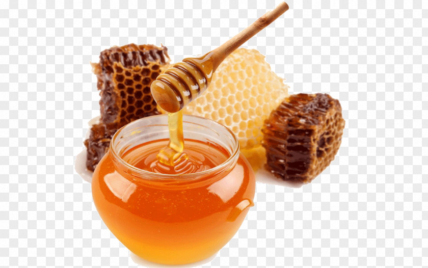 Honey Bee Health Food Flavor PNG