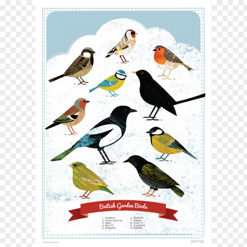Poster British Garden Birds Finch Bird Feeders PNG