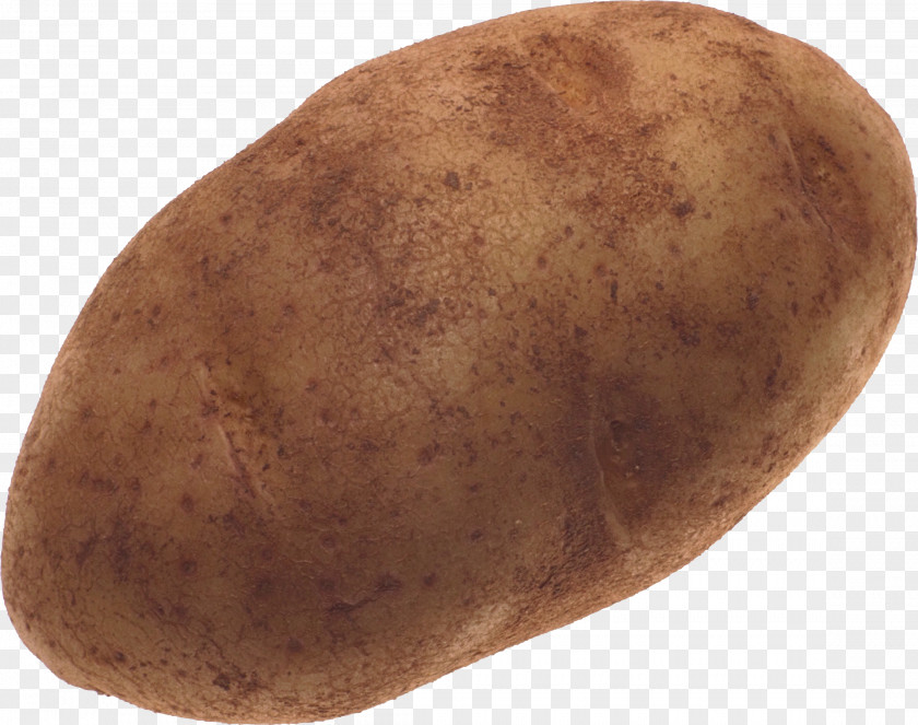 Potato Images Russet Burbank Yukon Gold PNG