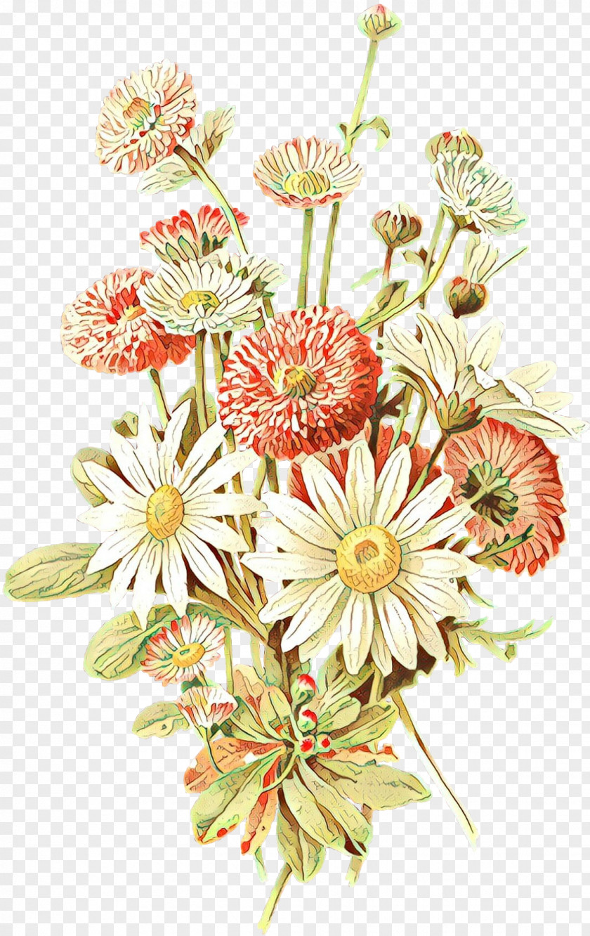 Daisy Family Aster Bouquet Of Flowers Drawing PNG