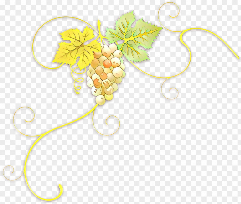 Flower Grapevine Family Clip Art Leaf Plant Grape Vitis PNG