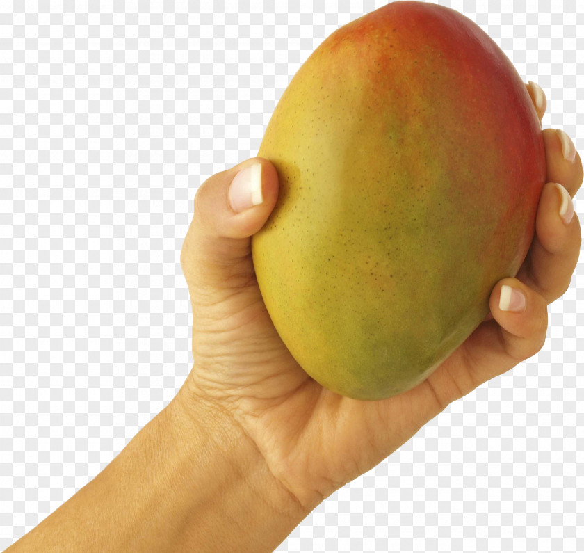 Mango In Hand Image Smoothie Juice Green Tea Ripening PNG