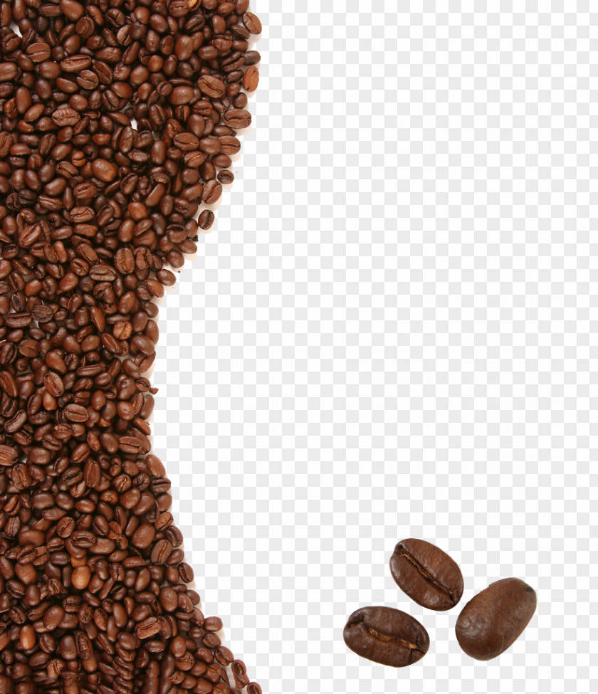 Coffee Beans Shading Free Downloads Coffeemaker Caffxe8 Americano Espresso Kalita PNG
