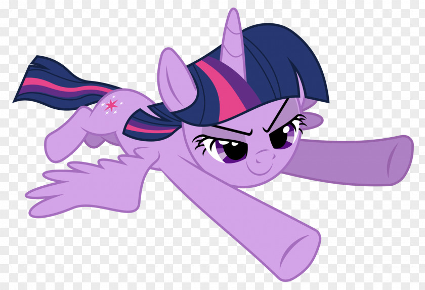 Disturbance Of Flies While Standing Twilight Sparkle Rainbow Dash Pony Princess Cadance Rarity PNG