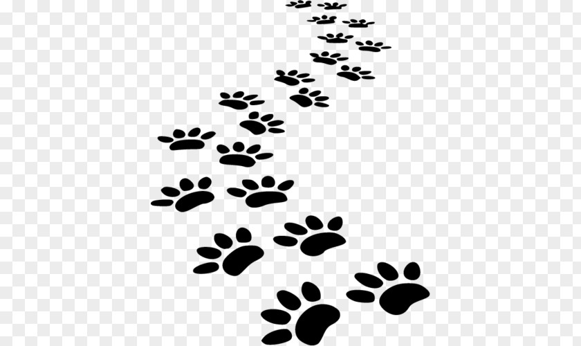 Dog Cat Puppy Pet Sitting Paw PNG