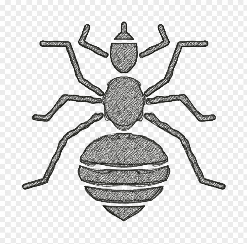 Insects Icon Louse PNG