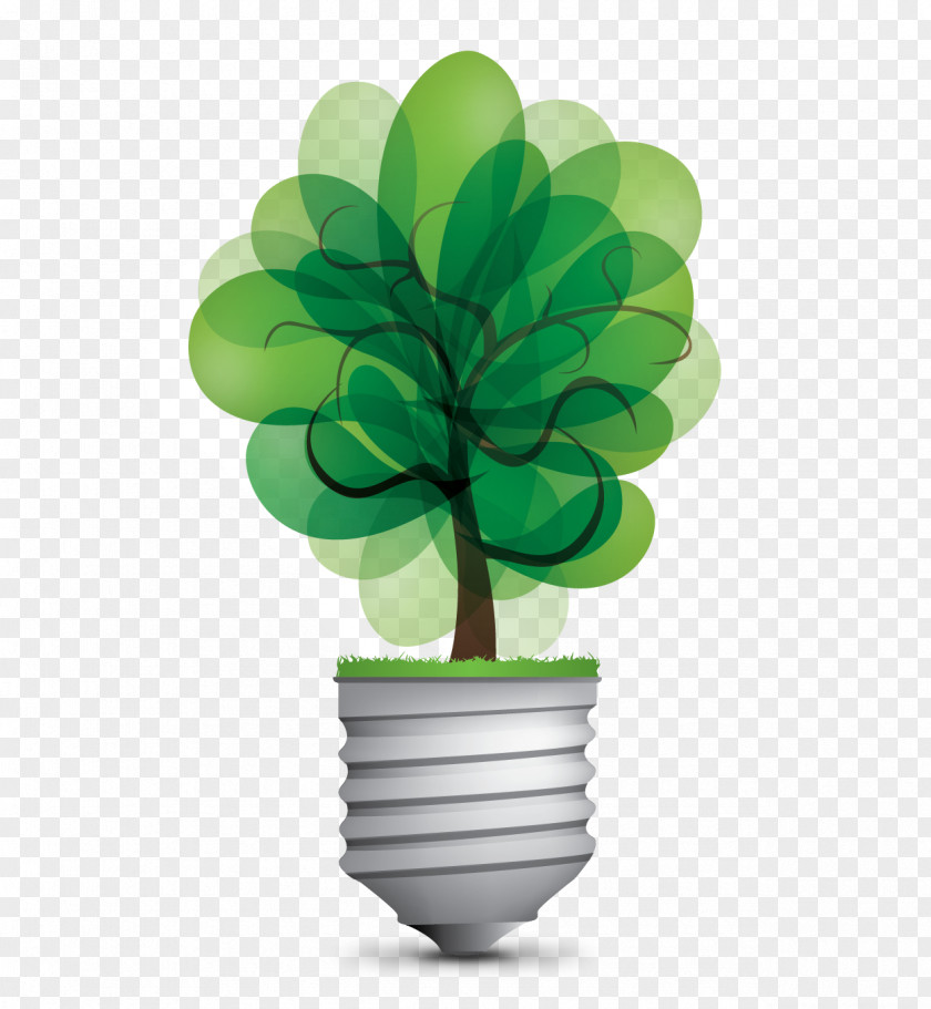 Light Incandescent Bulb Vector Graphics Illustration Lamp PNG