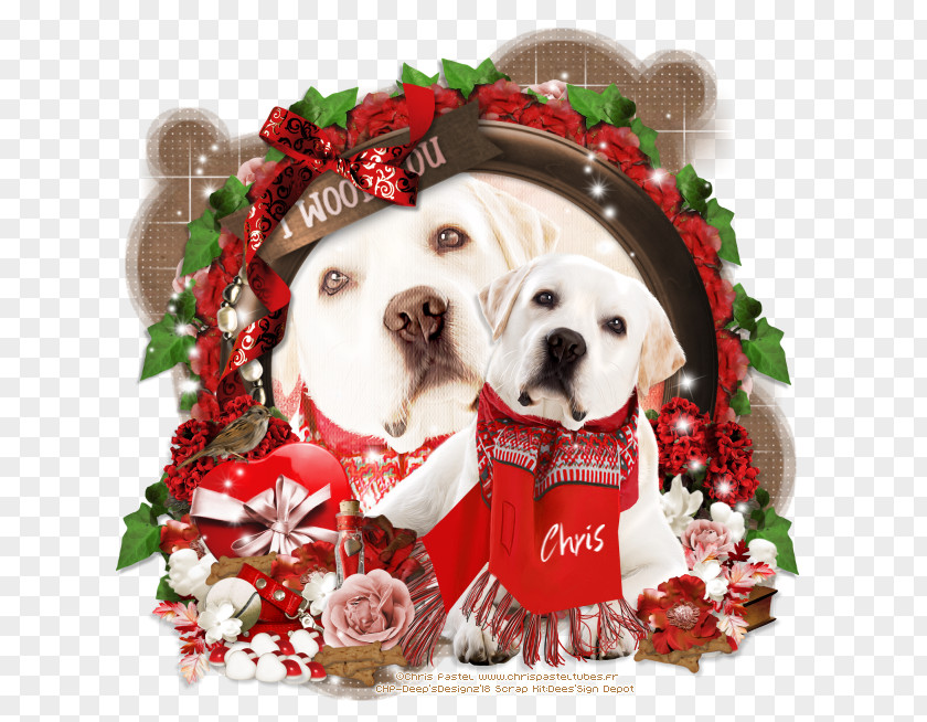 Puppy Dog Breed Love Christmas Ornament PNG
