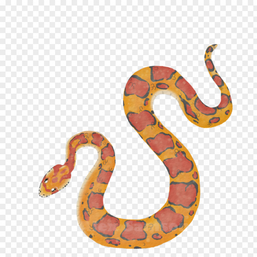 Snake Boa Constrictor Corn Kingsnakes Rattlesnake PNG