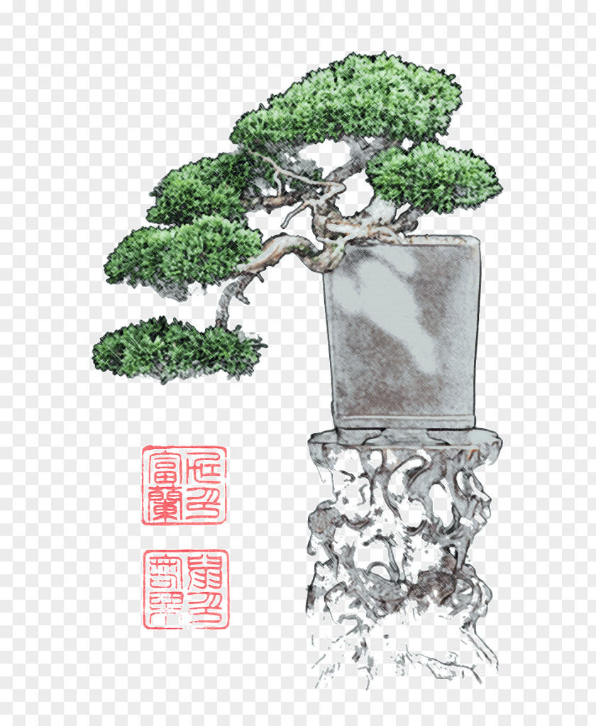 Tree Bonsai Flowerpot Font PNG